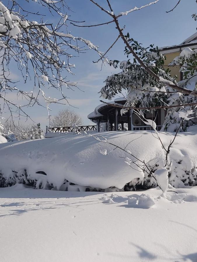 Villa Bizim Ev Sapanca Esterno foto