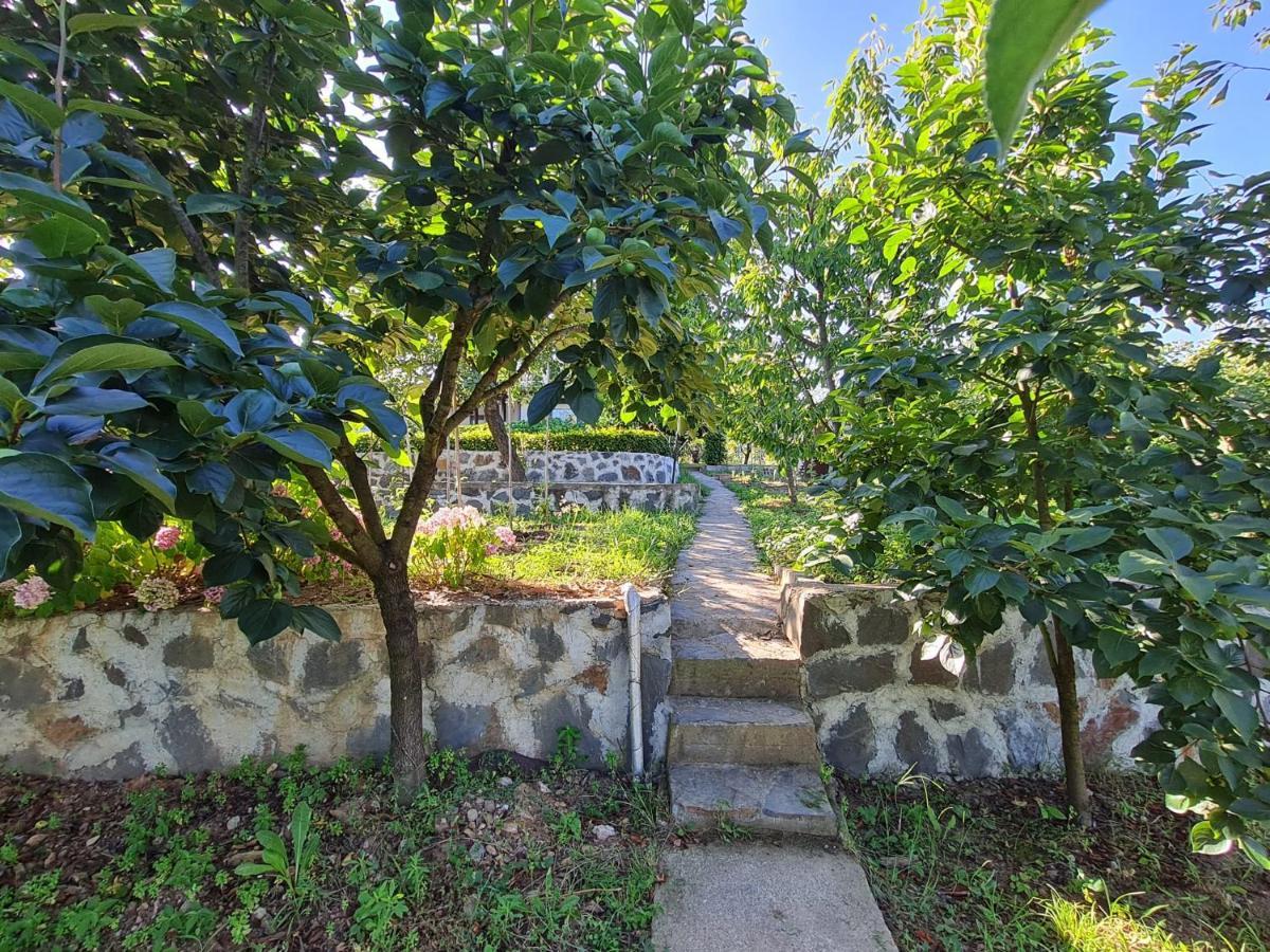 Villa Bizim Ev Sapanca Esterno foto