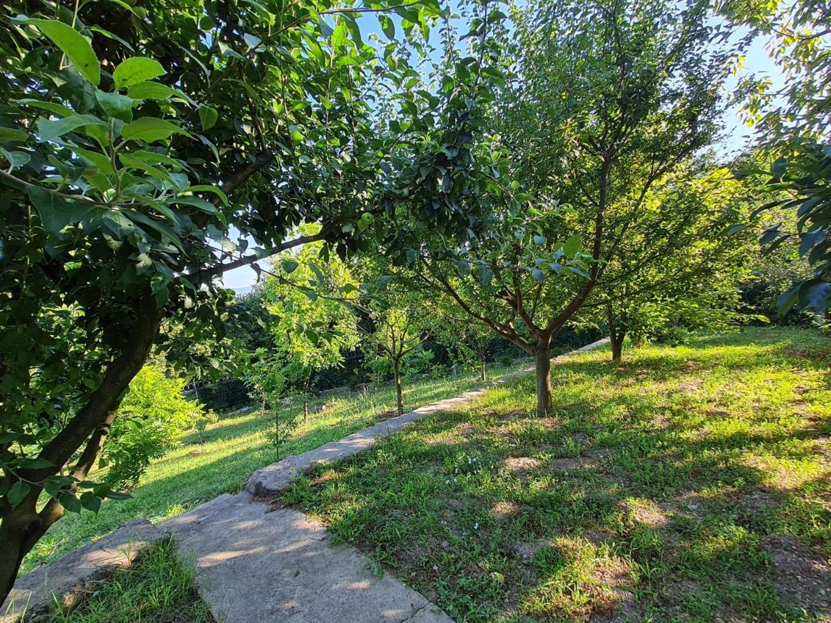 Villa Bizim Ev Sapanca Esterno foto